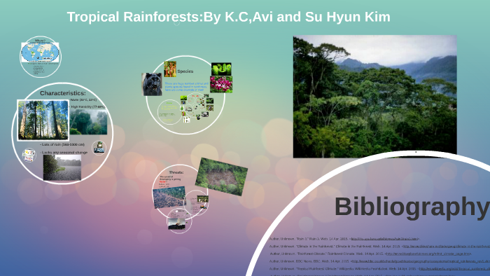 Tropical Rainforests By Kiran K C On Prezi Next