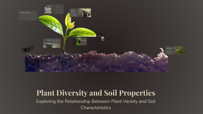 Plant Diversity and Soil Properties by Ferly Candelaria on Prezi