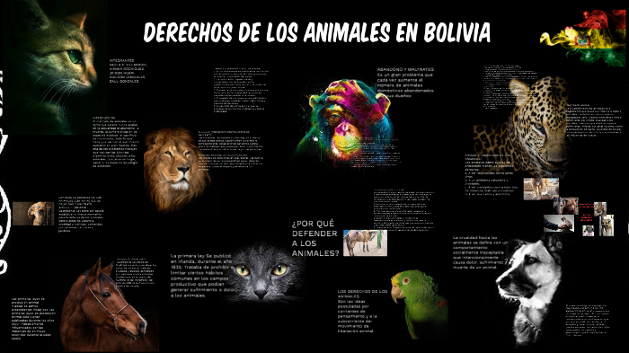 DERECHOS DE LOS ANIMALES by PAOLA XIMENA VILLARROEL QUISPE on Prezi