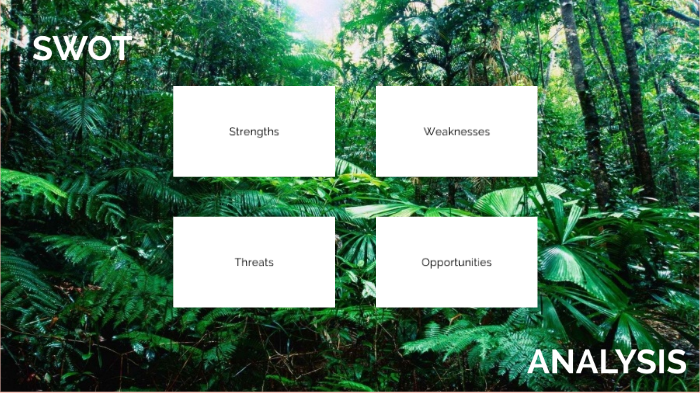 SWOT Analysis by Ama Studies on Prezi