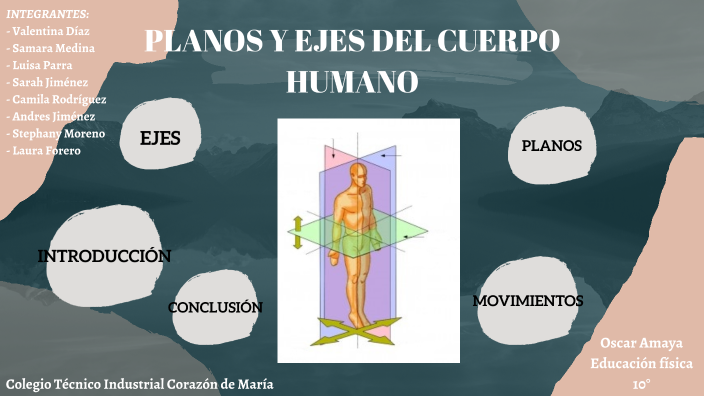 Planos y ejes del cuerpo humano by Camila Rodriguez on Prezi