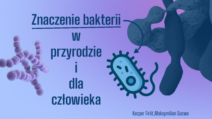 Znaczenie bakterii w przyrodzie i dla człowieka by Kacper Firlit on Prezi