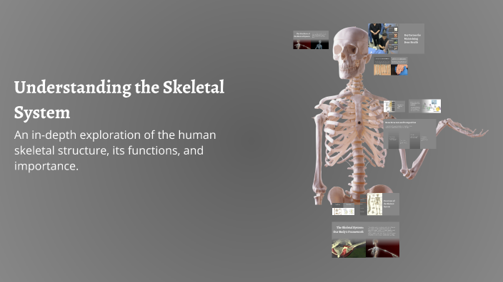 Understanding the Skeletal System by hani faith on Prezi