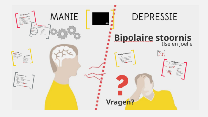type 2 bipolaire stoornis