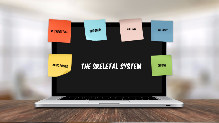 Skeletal System by Nathan Romo on Prezi