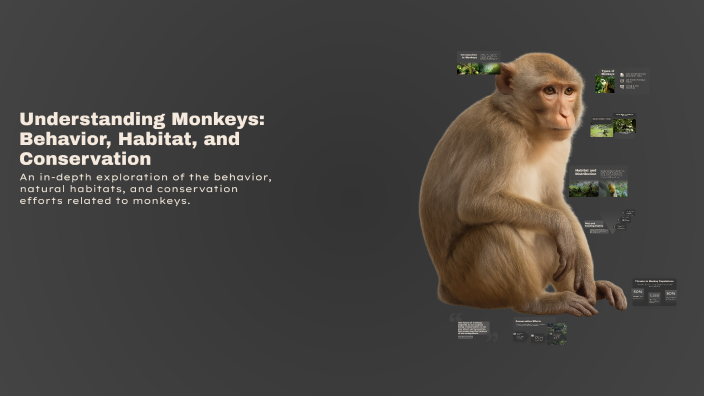 Understanding Monkeys: Behavior, Habitat, and Conservation by Everett ...