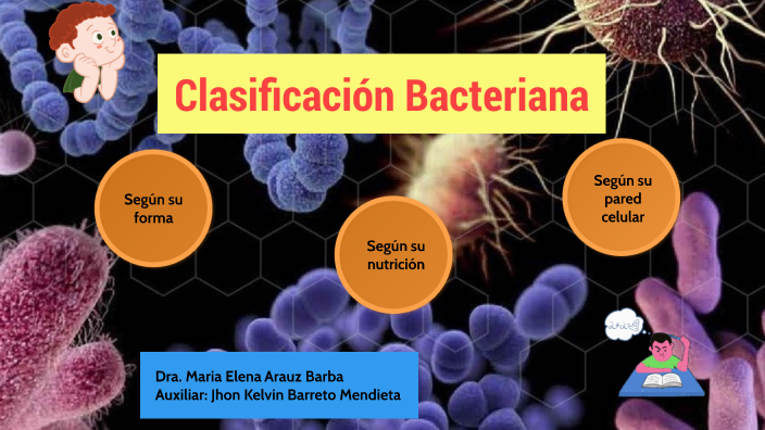 clasificación bacteriana by Jj Bb on Prezi