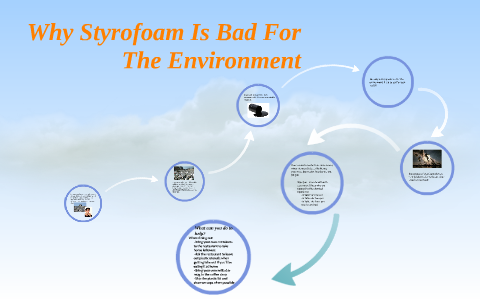 Why Styrofoam Is Bad For The Enviroment By Haley Crawford