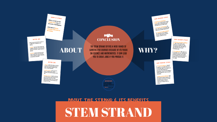 research questions about stem strand