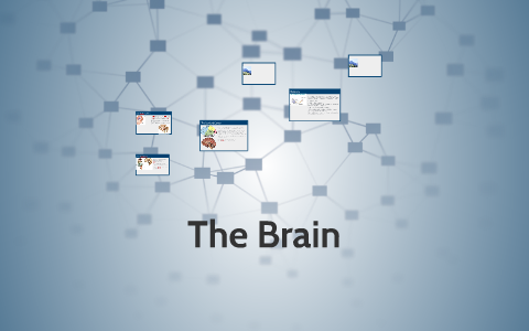 The Brain by Duy Nguyen on Prezi