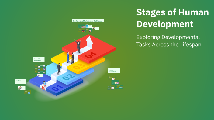 Stages of Human Development by irard Miciano on Prezi
