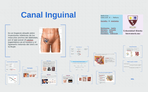 hernia inguinal anatomía femenina