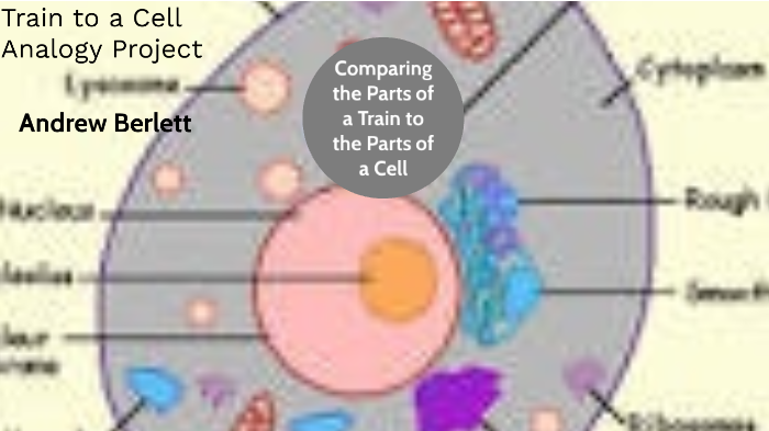 comparing-the-parts-of-a-train-to-the-parts-of-a-cell-andrew-berlett-by