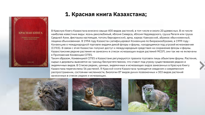 когда появилась первая красная книга в казахстане