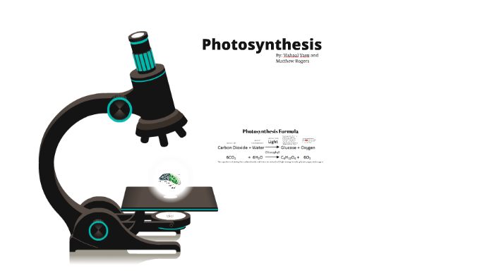 Photosynthesis Model Project By Vasu Kasi