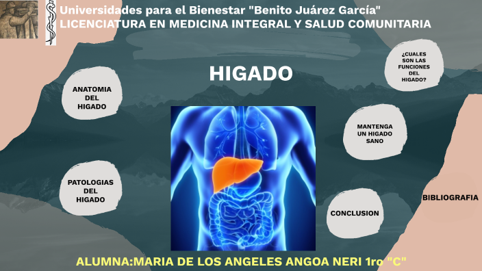 HIGADO by Angoa Neri Maria de los Angeles on Prezi