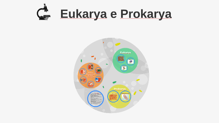 Eukarya e Prokarya by PIETRO PROLA on Prezi