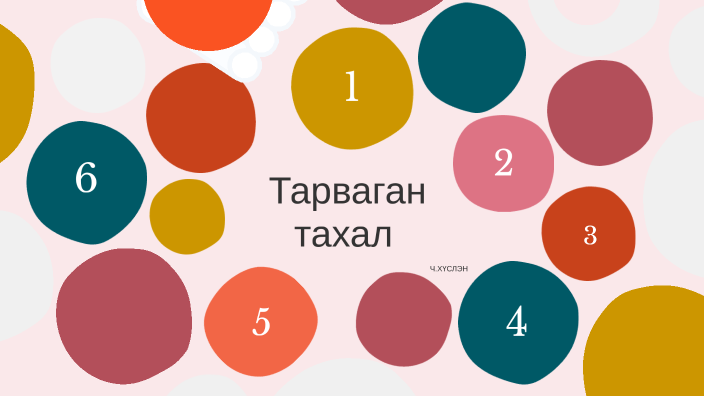 Тарваган тахал by sainbileg svkhbaatar on Prezi