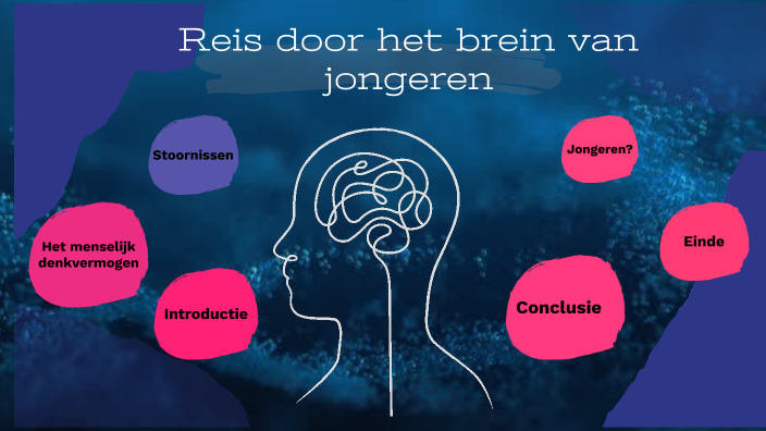 Het menselijk Denkvermogen by Rochelin Cooman on Prezi