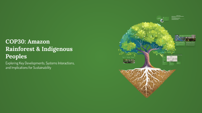 COP30: Amazon Rainforest & Indigenous Peoples by Mert Ertunga Ekizce on ...