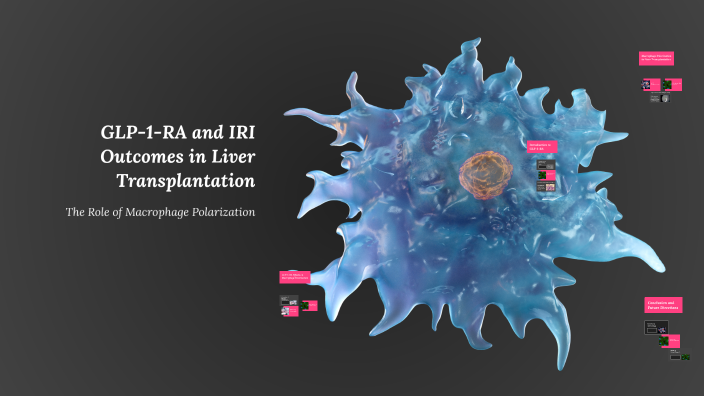 View of GLP-1-RA and IRI Outcomes in Liver Transplantation by Mareike Mannewitz ...