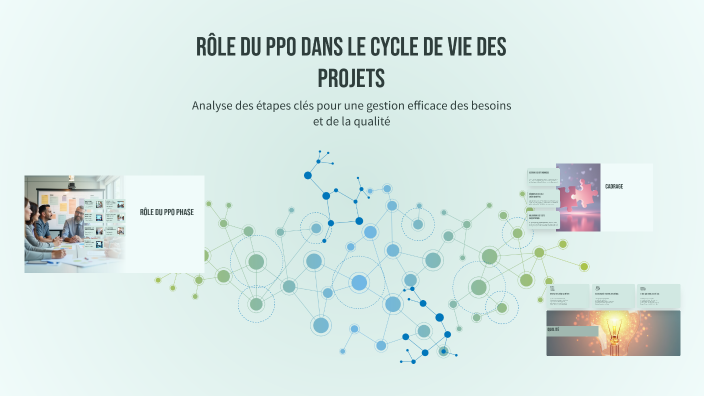 Rôle du PPO dans le Cycle de Vie des Projets by flo flo on Prezi