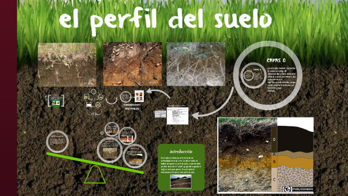 el perfil del suelo by Migue Montealegre on Prezi