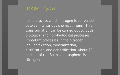 Nitrogen cycle by Jaylen Cosme on Prezi