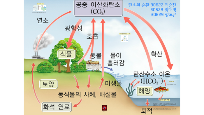 탄소의 분포-지권 by 승찬 이 on Prezi