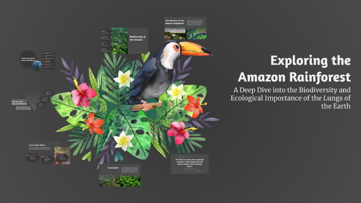 Exploring the Amazon Rainforest by Vito on Prezi