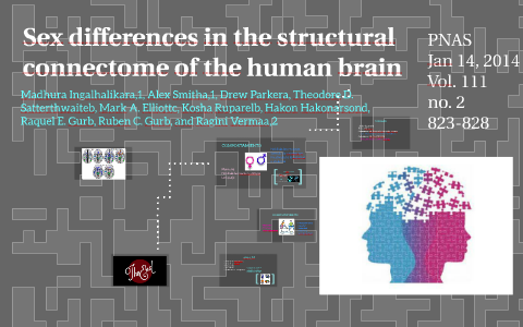 Sex Differences In The Structural Connectome Of The Human Br By ERIKA ...