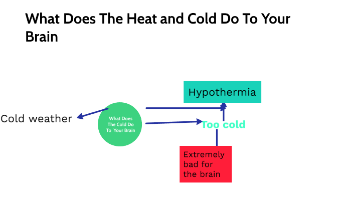 What Does The Heat and Cold Do To The Brain? by Mackhang Hoang on Prezi