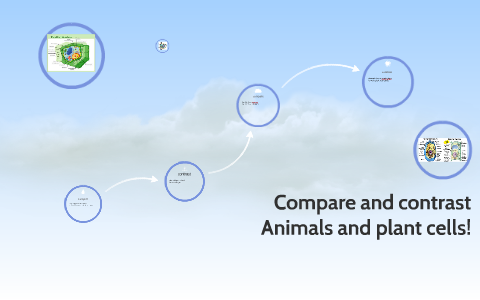 Compare and contrast Animals and plant cells. by Gabriel Lopez