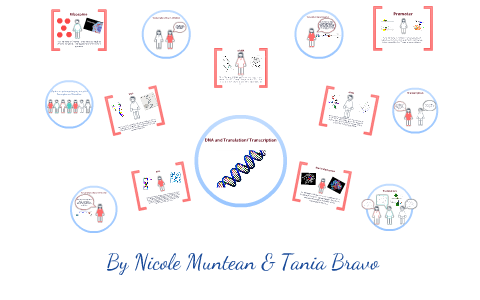 DNA and the Central Dogma Comic by Tania Bravo on Prezi