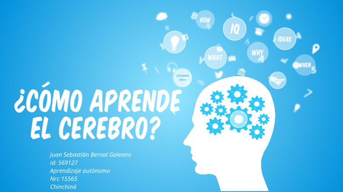 Mapa mental. ¿cómo aprende el cerebro? by Juan Sebastián Bernal Galeano on  Prezi Next