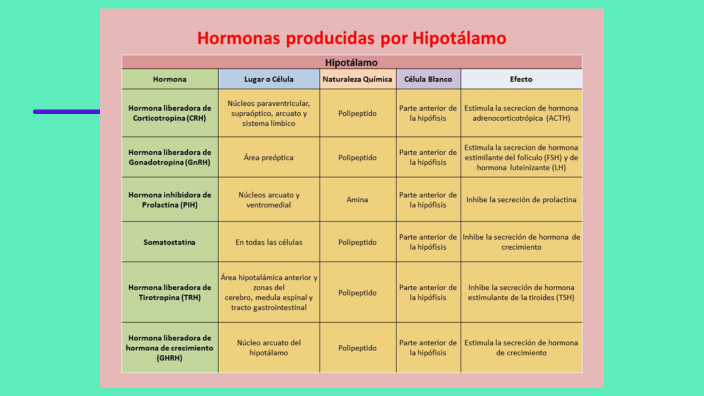 HIPOTÁLAMO by Eliza Ortiz on Prezi