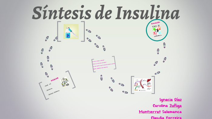 Síntesis de Insulina by ignacia diaz novoa on Prezi Next