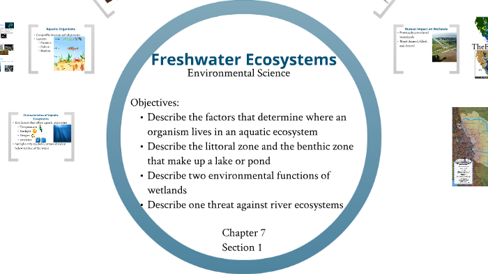 Freshwater Ecosystems Chapter 7 Section 1 By Mr. Emhardt On Prezi