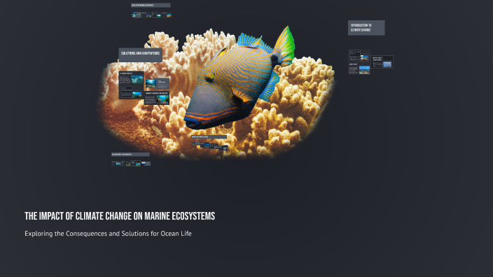 The Impact of Climate Change on Marine Ecosystems by İsi on Prezi