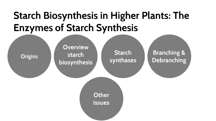 Starch Biosynthesis In Higher Plants: The Enzymes Of Starch Synthesis ...