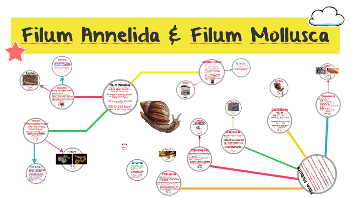 Filum Annelida Amp Filum Mollusca By Dhafiya Aurelia On Prezi
