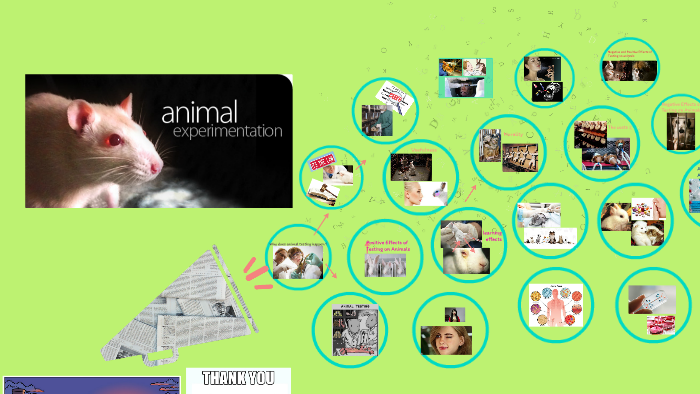 why-does-animal-testing-happen-by-aysl-k-kayaz-on-prezi