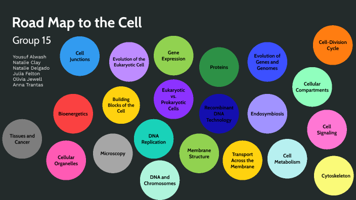 Road Map of a Cell by Julia Felton on Prezi