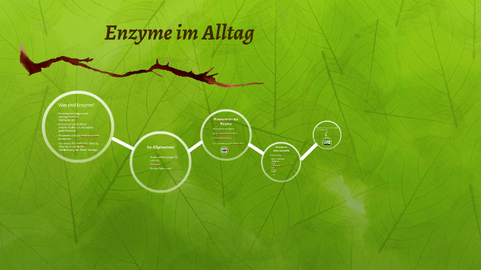 Enzyme im Alltag by Yannik Hacheney on Prezi