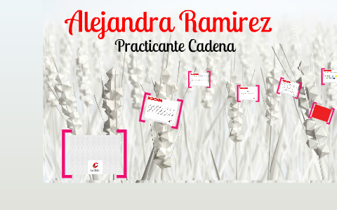 Presentación Practica by alejandra ramirez on Prezi