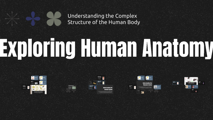 Exploring Human Anatomy by Maithili Karn on Prezi