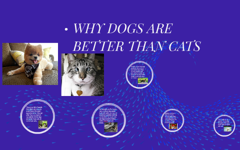 WHY DOGS ARE BETTER THAN CATS by averie meyer on Prezi