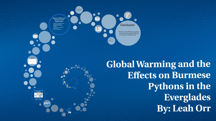 Global Warming and the Effects of Burmese Pythons by on Prezi