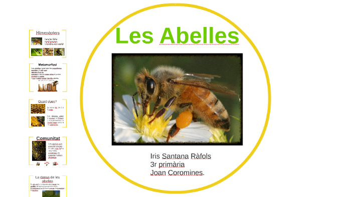 Les Abelles by Pitu Santana