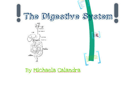 The Digestive System by m c on Prezi